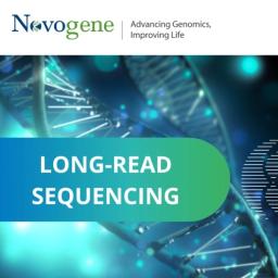Long-read sequencing - Novogene - Life Sciences