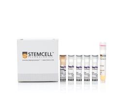 EasySep™ Release Mouse PE Positive Selection Kit - STEMCELL Technologies Inc. - Life Sciences