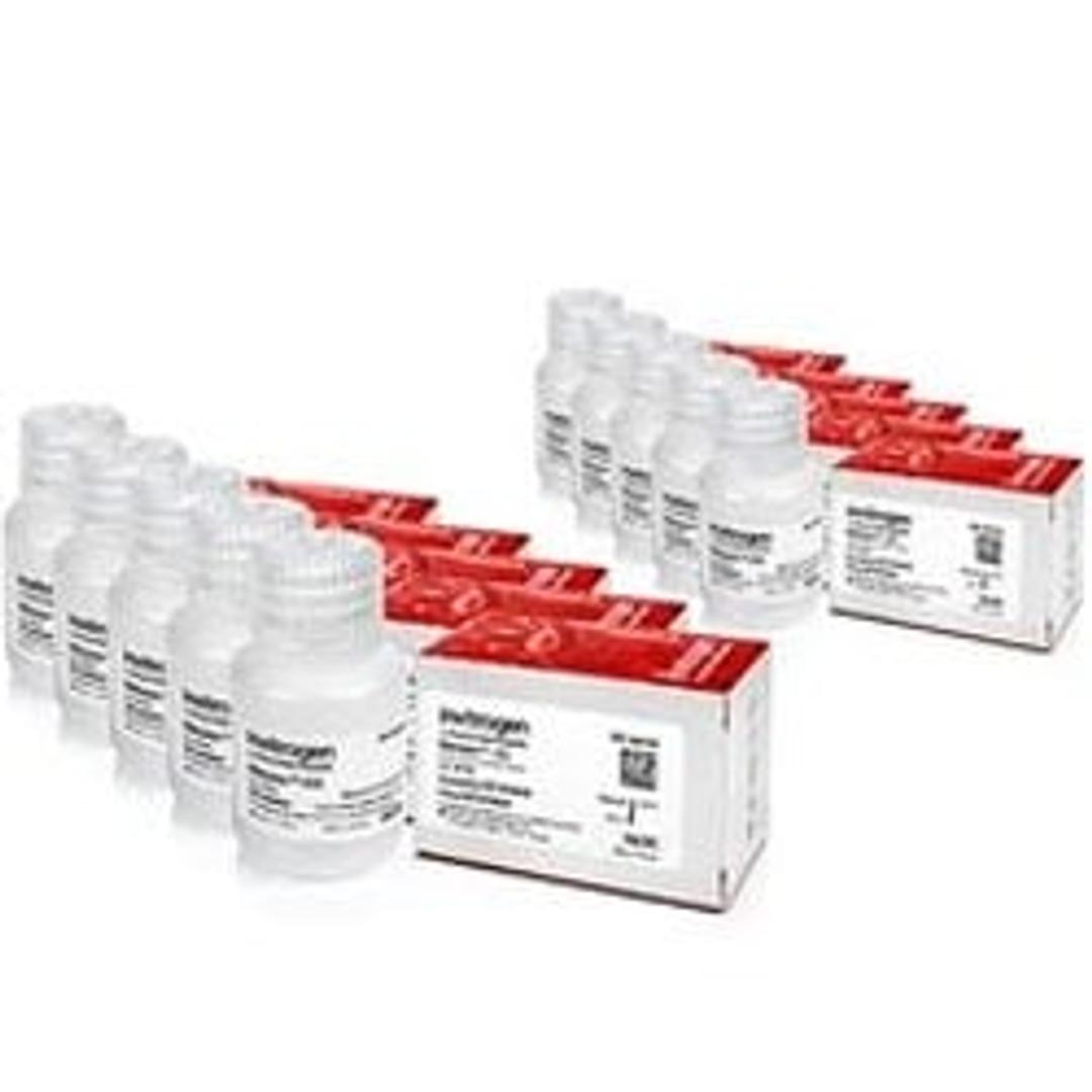 RNAlater - ICE Frozen Tissue Transition Solution - Thermo Fisher Scientific - Life Sciences