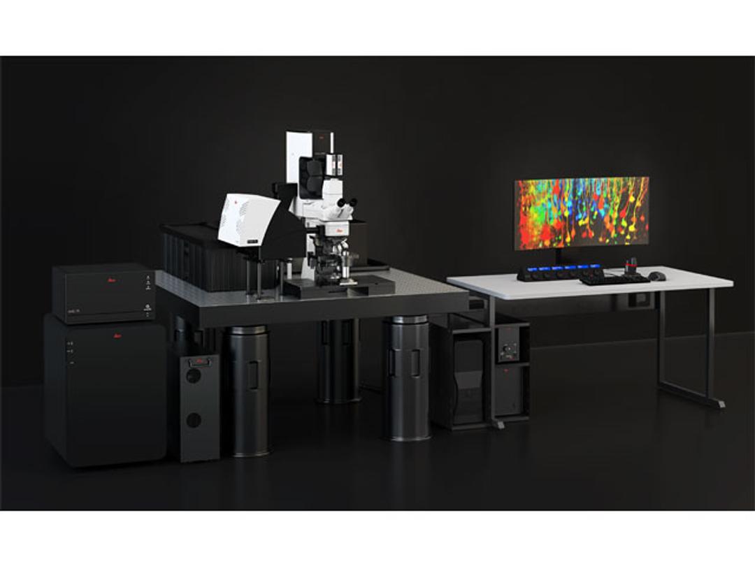 STELLARIS DIVE Multiphoton Microscope - Leica Microsystems Europe - Spectroscopy