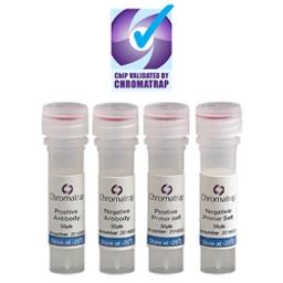 Chromatrap® ChIP Validated Antibodies and Primer Sets - Chromatrap - Life Sciences