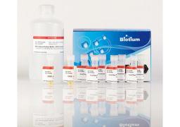 AccuClear® Ultra High Sensitivity dsDNA Quantitation Kit with DNA Standards - Biotium - Life Sciences