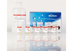 AccuClear® Ultra High Sensitivity dsDNA Quantitation Kit with DNA Standards - Biotium - Life Sciences