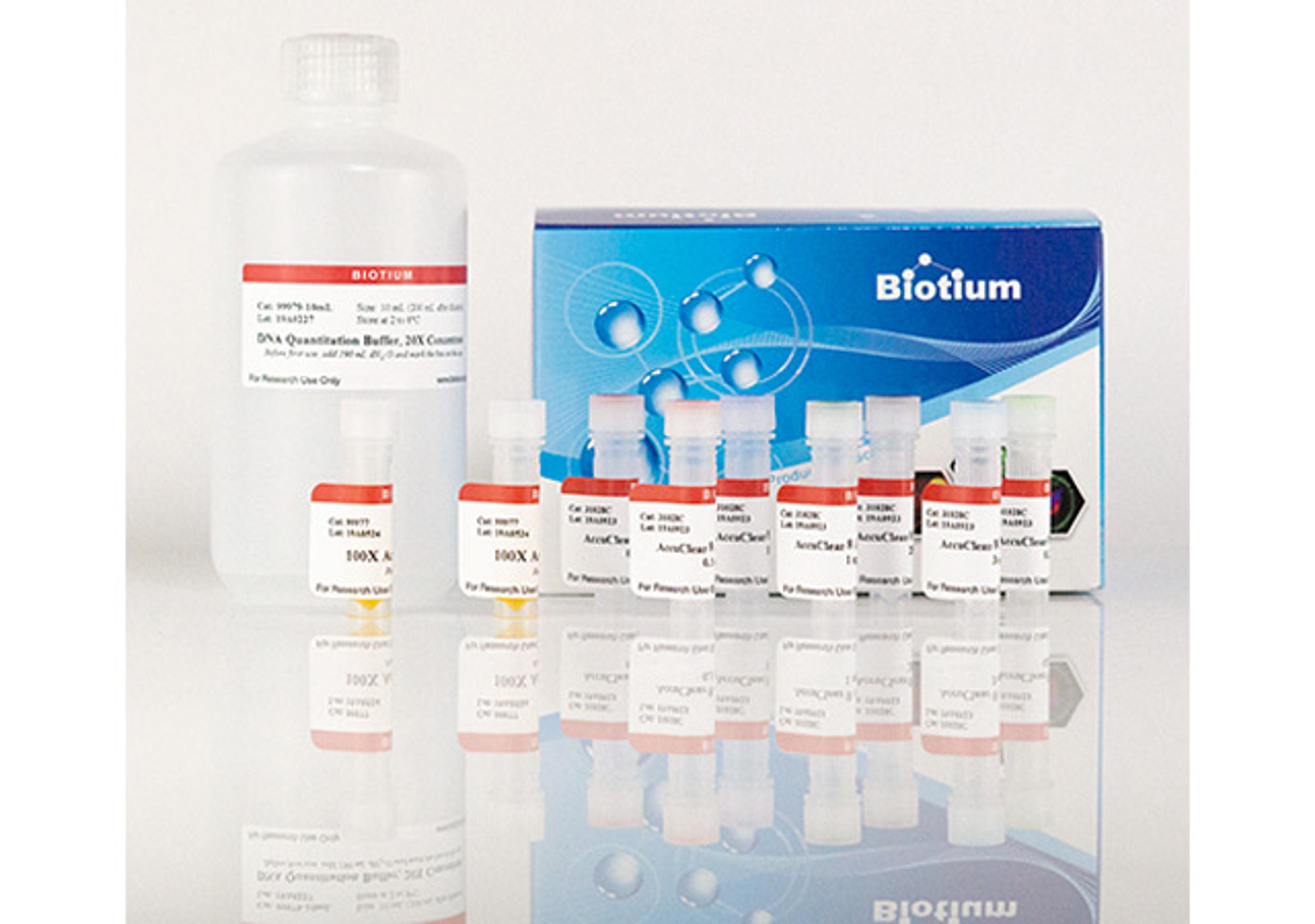 AccuClear® Ultra High Sensitivity dsDNA Quantitation Kit with DNA Standards - Biotium - Life Sciences