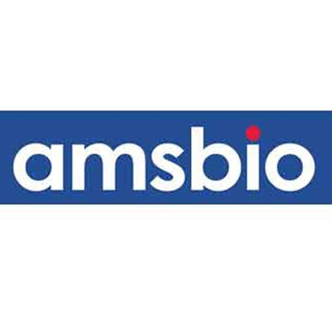 Lyophilized Exosome Standards - AMSBIO - Life Sciences