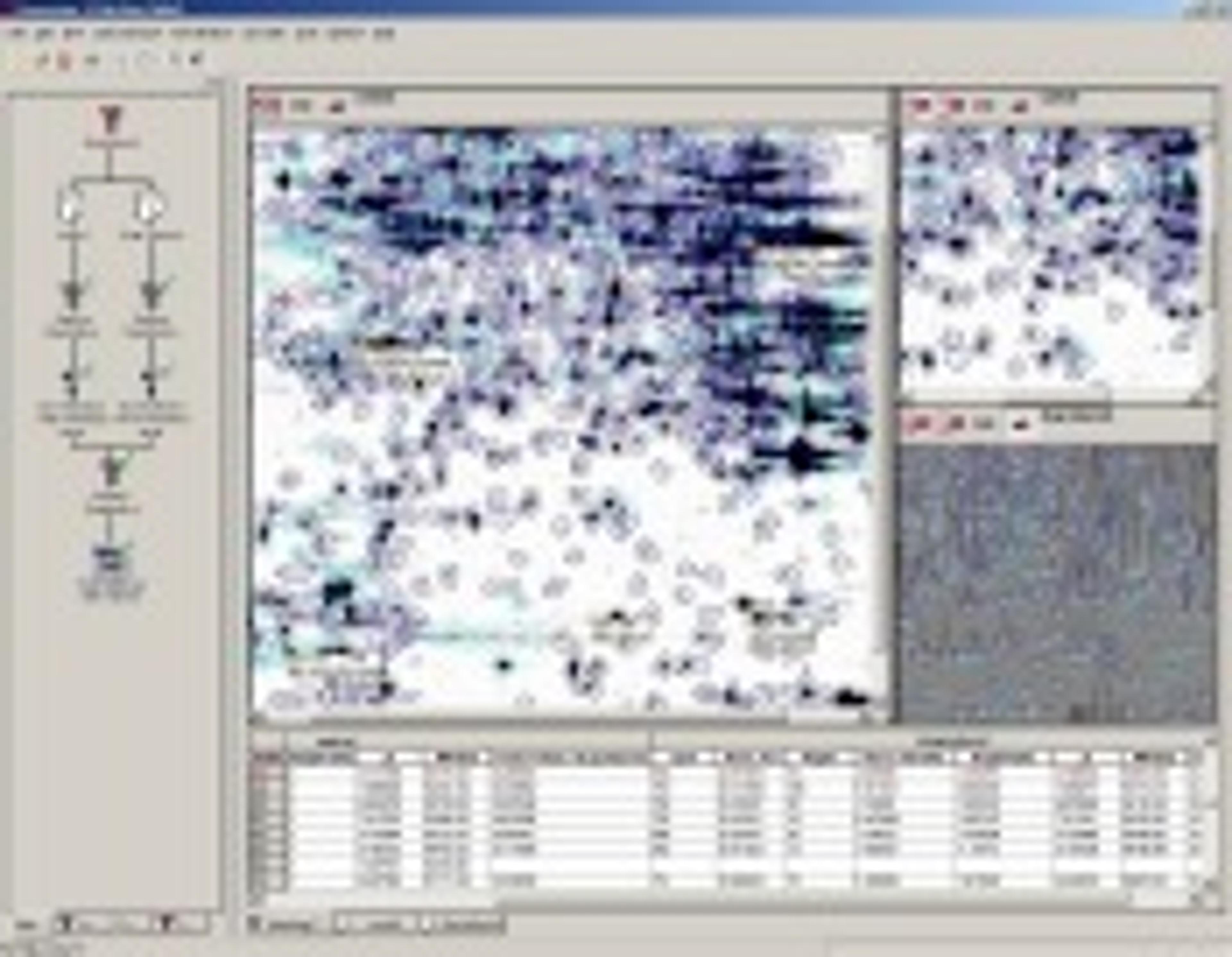 DYMENSION 3 - Syngene - Life Sciences