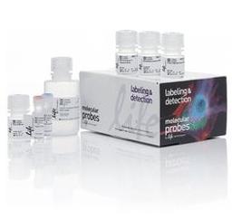 Invitrogen™ Click-iT™ Plus EdU Pacific Blue Flow Cytometry Assay Kit - Thermo Fisher Scientific - Life Sciences
