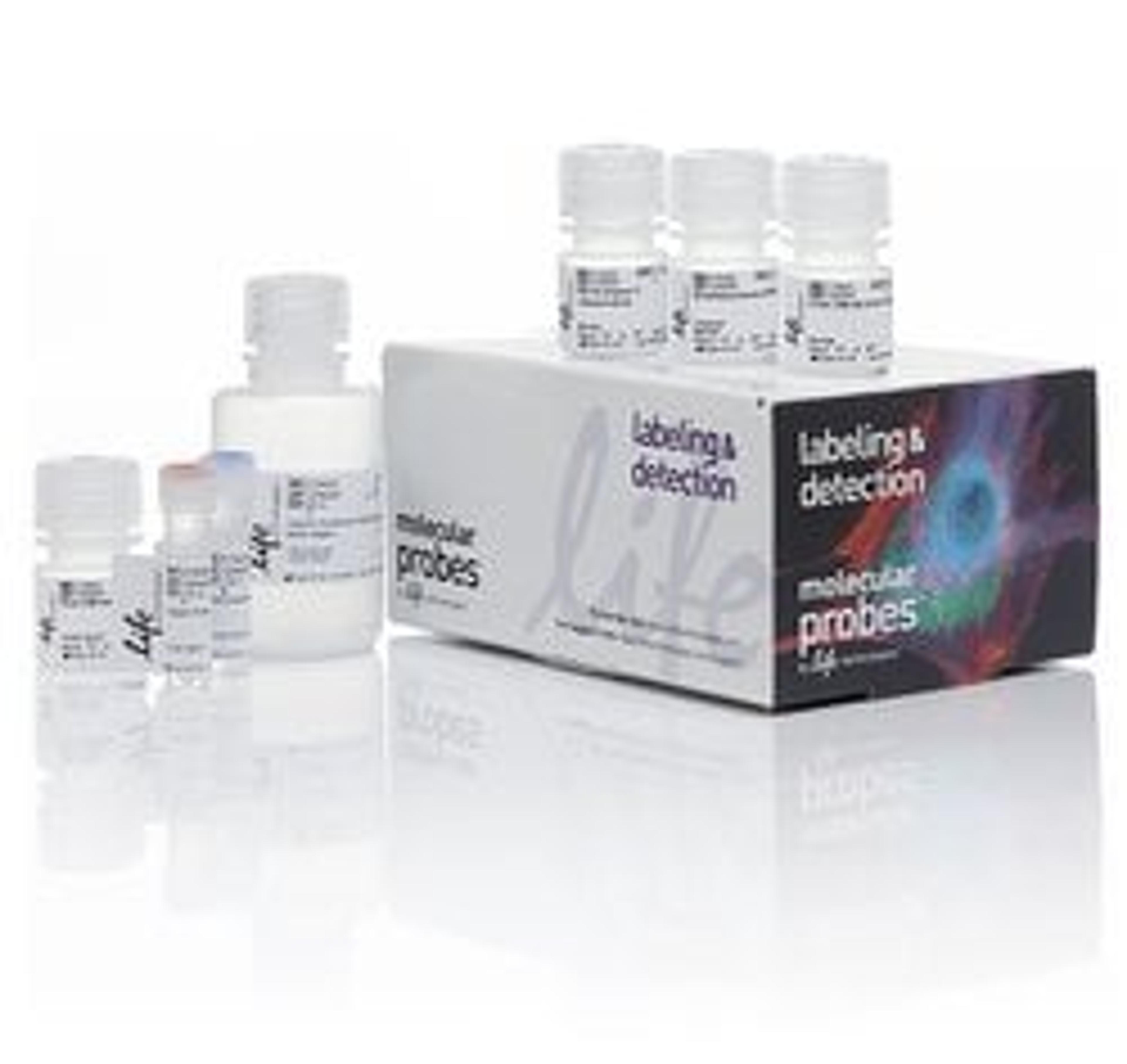 Invitrogenâ„¢ Click-iTâ„¢ Plus EdU Pacific Blue Flow Cytometry Assay Kit - Thermo Fisher Scientific - Life Sciences