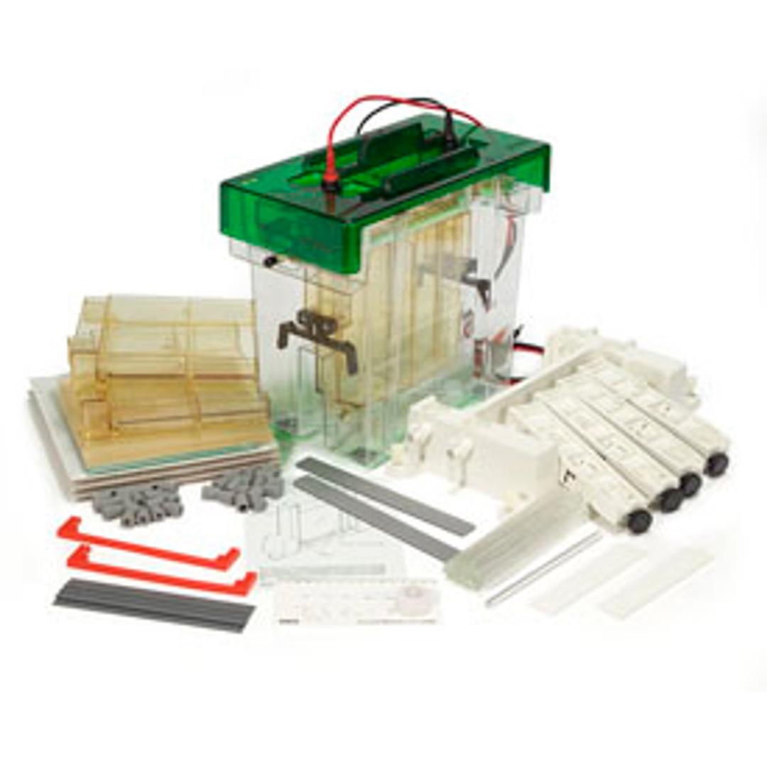 PROTEAN II xi 2-D Cell #1651932 - Bio-Rad - Life Sciences