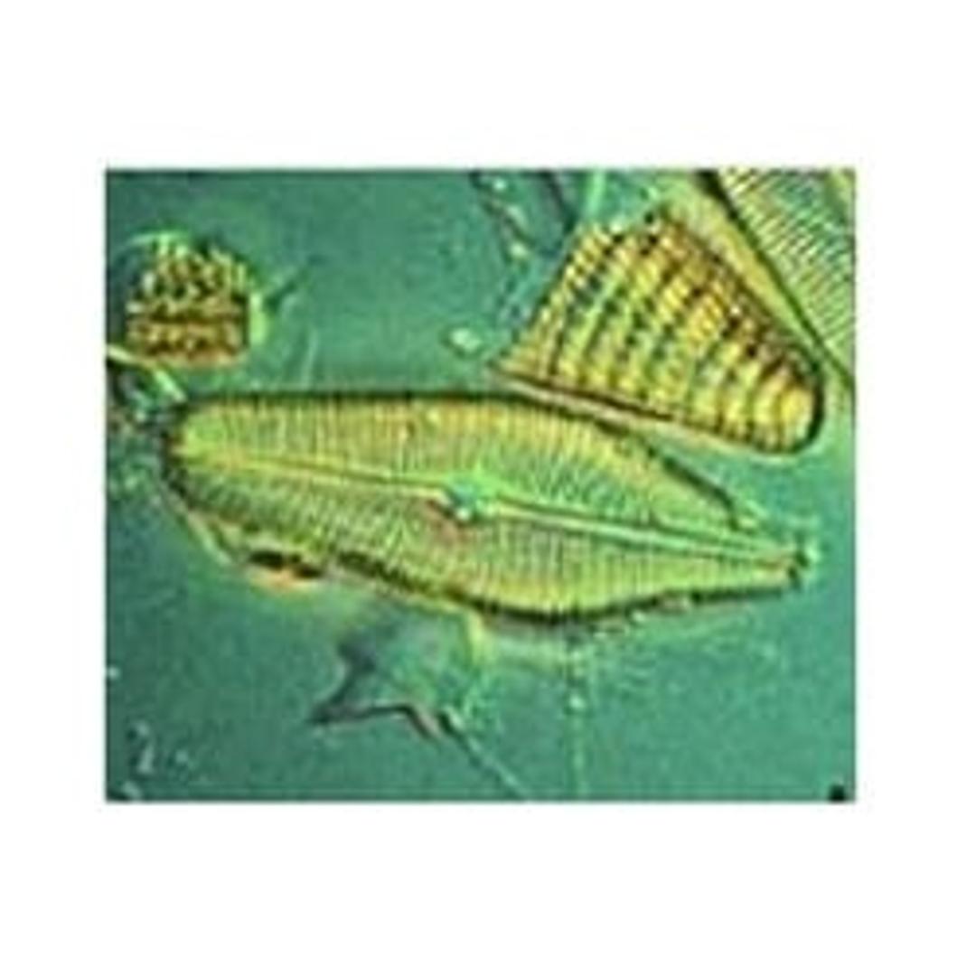 Hydromatrix - Agilent Technologies - Separations