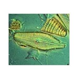 Hydromatrix - Agilent Technologies - Separations