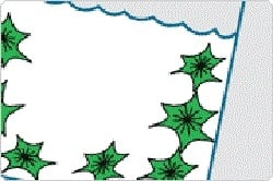 CyQUANT® Direct Cell Proliferation Assay - Thermo Fisher Scientific