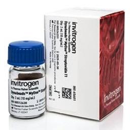 Invitrogen™ Dynabeads™ MyOne™ Streptavidin T1 - Thermo Fisher Scientific - Life Sciences