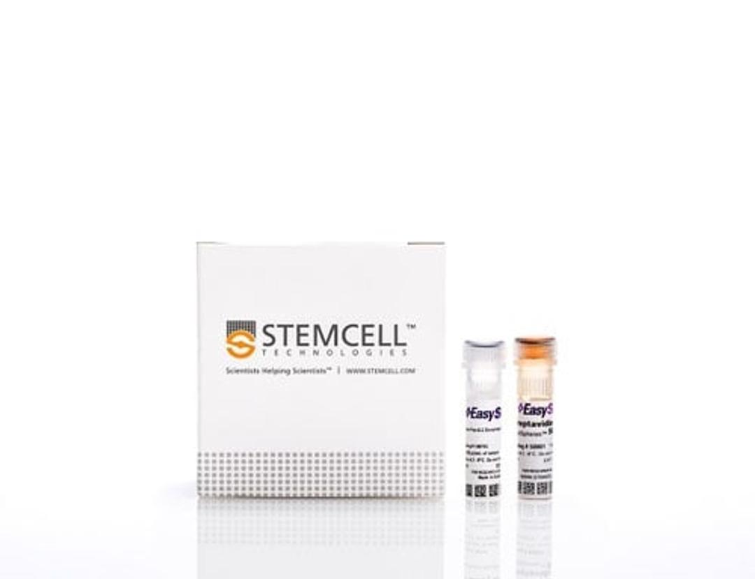EasySep™ Mouse Pan-ILC Enrichment Kit - STEMCELL Technologies Inc. - Life Sciences