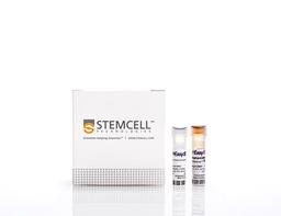 EasySep™ Mouse Pan-ILC Enrichment Kit - STEMCELL Technologies Inc. - Life Sciences