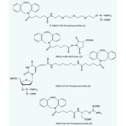 DBCO Phosphoramidites - Glen Research - Life Sciences