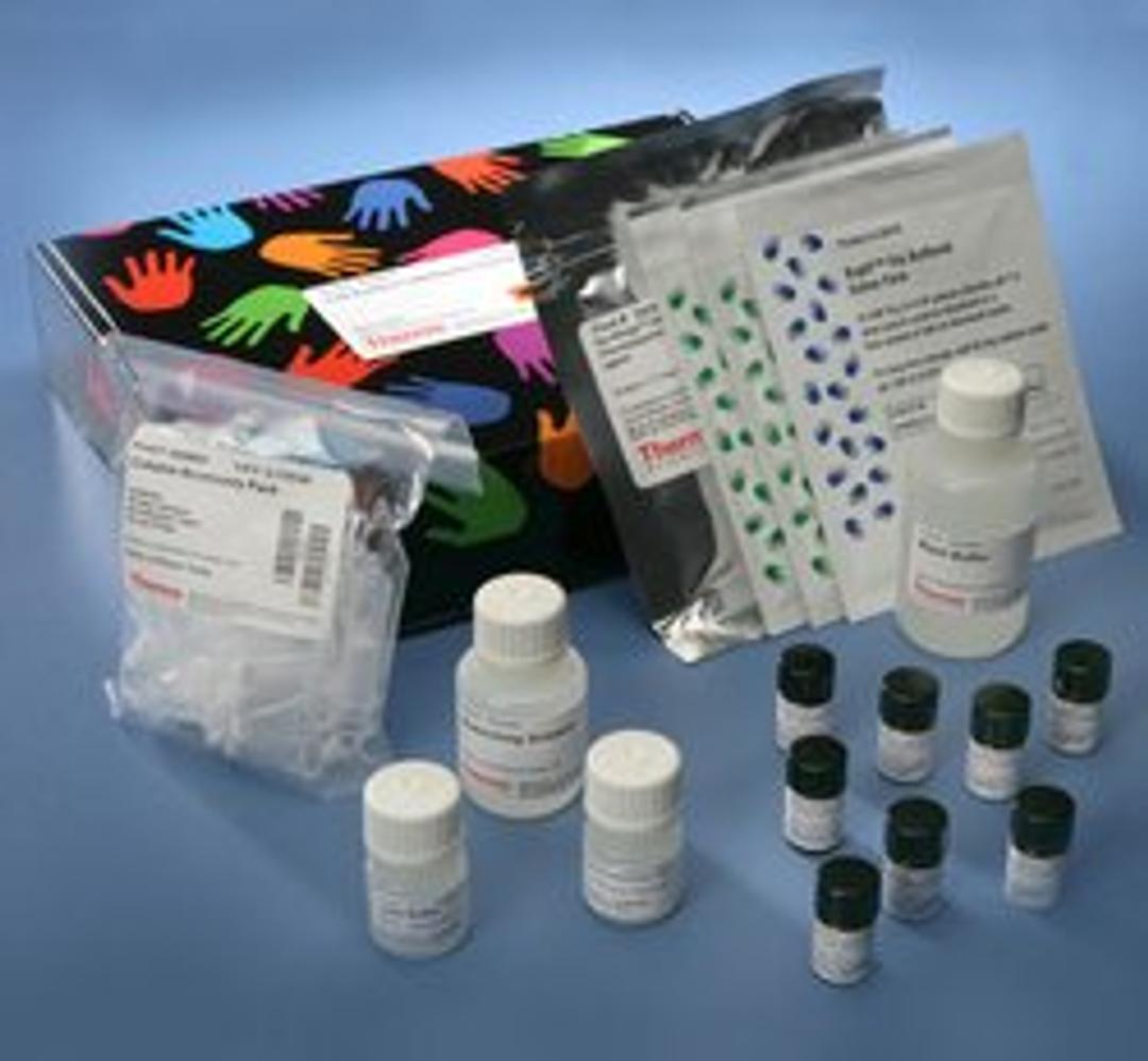Thermo Scientific™  Pierce™ Cell Surface Protein Isolation Kit - Thermo Fisher Scientific - Life Sciences