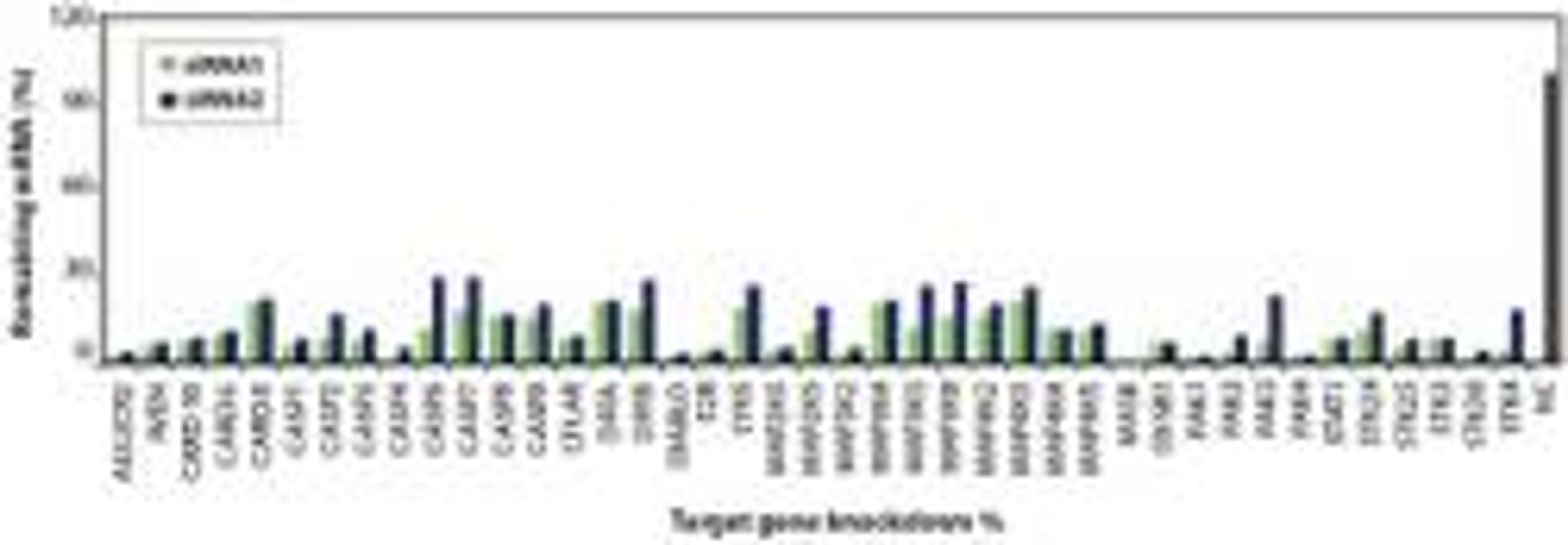 AccuTargetâ„¢ Functional/family Subsets of the Kinase or Phosphatase Libraries - Bioneer - Life Sciences