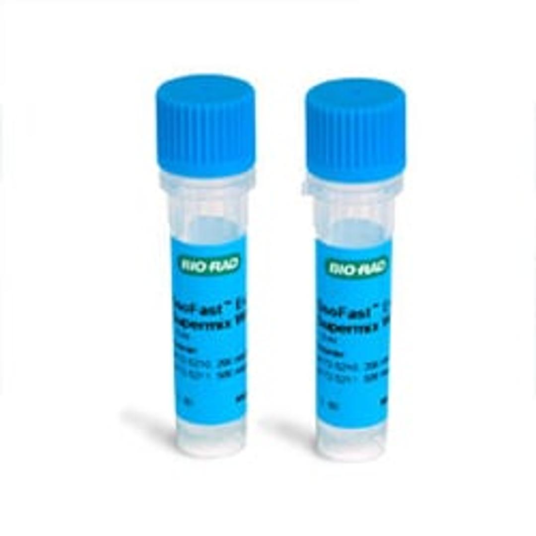 SsoFast™ EvaGreen® Supermix with Low ROX, 2 ml (172–5210) - Bio-Rad - Life Sciences
