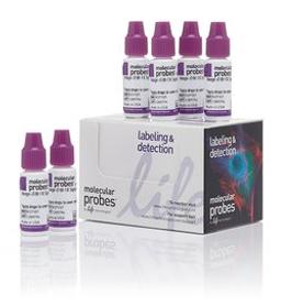 Invitrogen™ Image-iT™ FX Signal Enhancer ReadyProbes™ Reagent - Thermo Fisher Scientific - Life Sciences