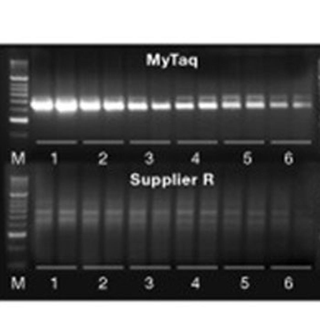 MyTaq™ Red Mix - Meridian Bioscience Inc. - Life Sciences