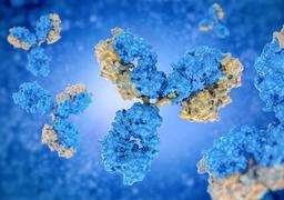 Single B Cell Sorting based Native™ Antibody Discovery Services - Creative Biolabs - Drug Discovery & Development