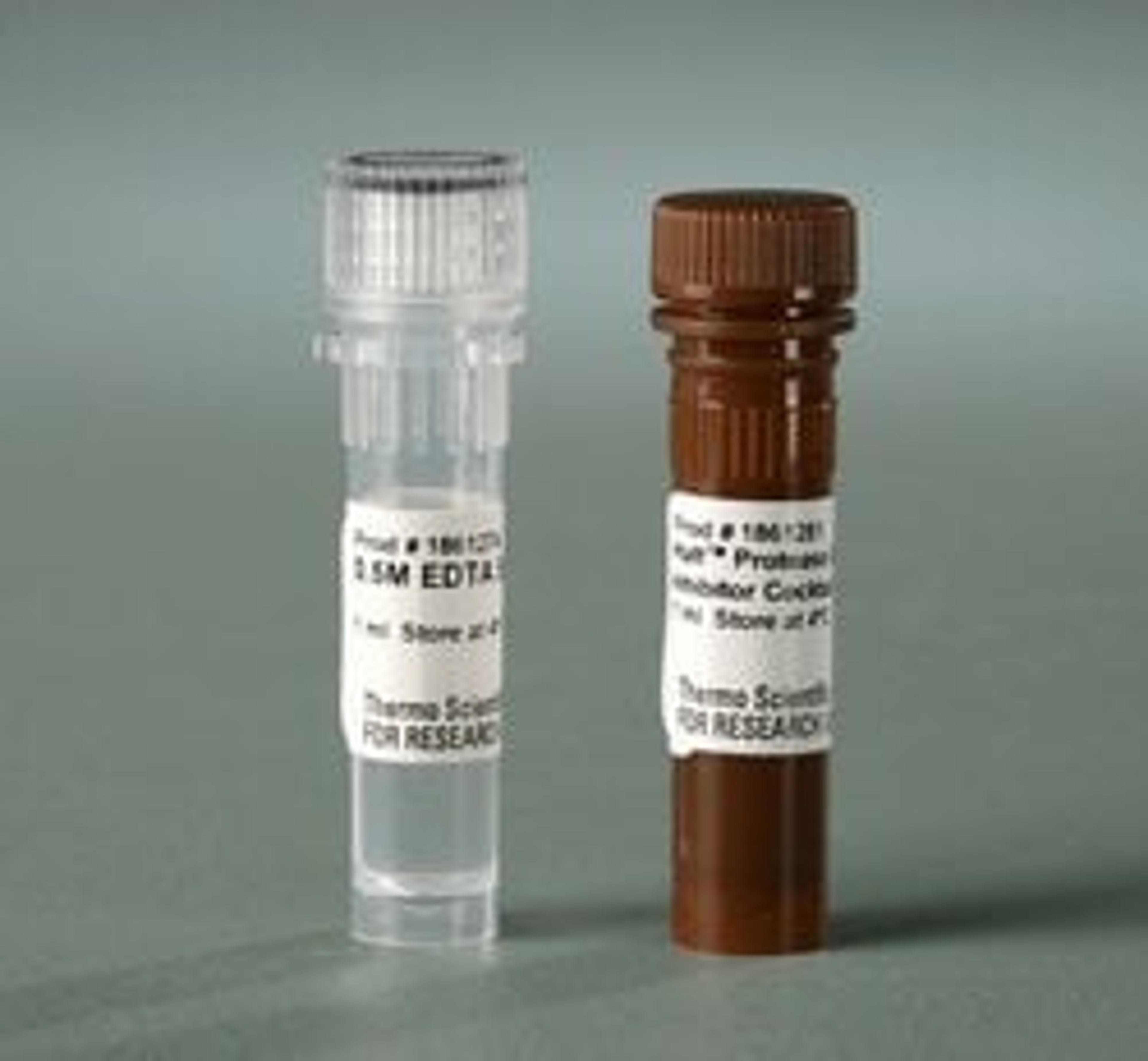 Thermo Scientific™ Halt™ Protease and Phosphatase Inhibitor Cocktail (100X) - Thermo Fisher Scientific - Life Sciences