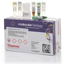 Thermo Scientific™ Phire Tissue Direct PCR Master Mix - Thermo Fisher Scientific - Life Sciences