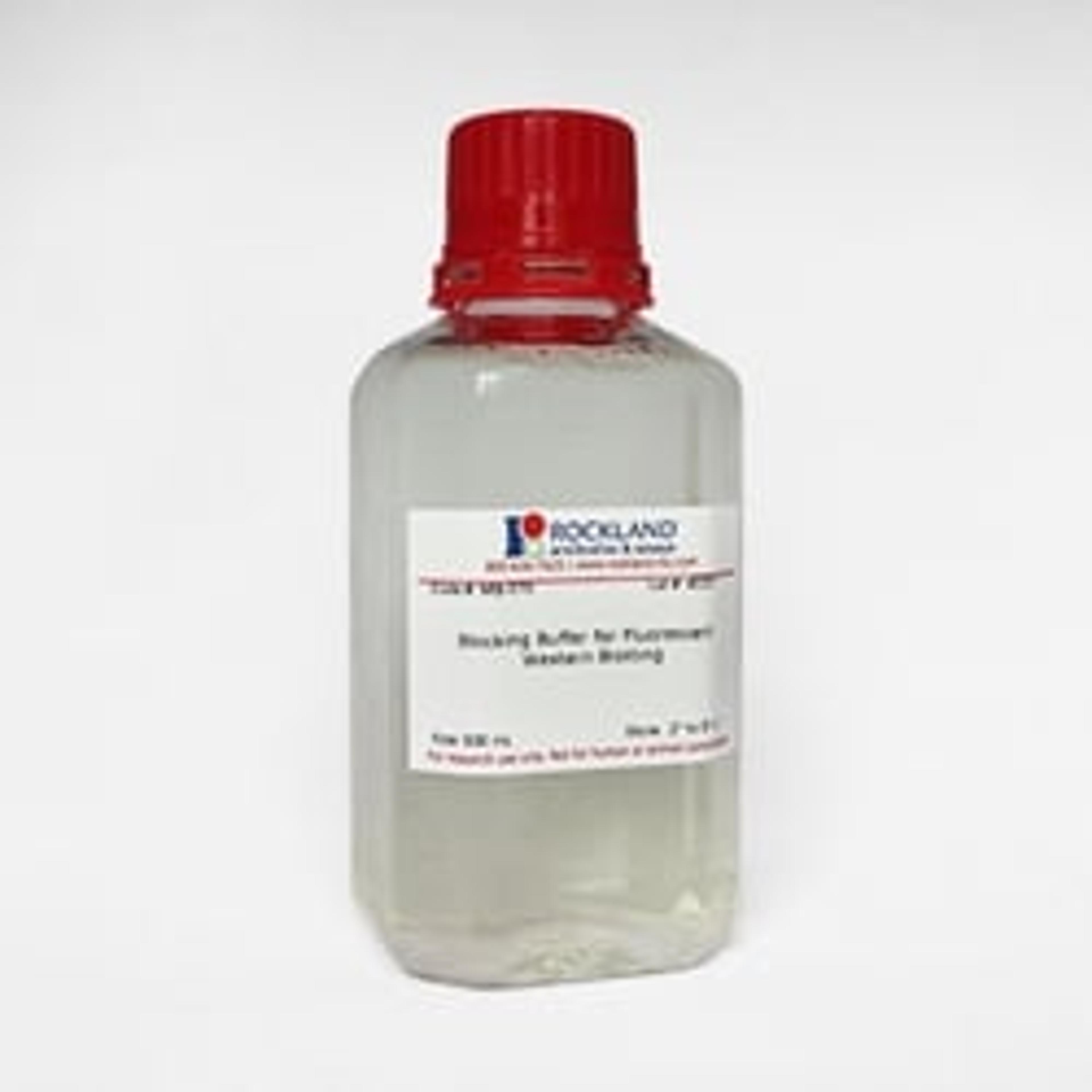 Blocking Buffer for Fluorescent Western Blotting - Rockland Immunochemicals - Life Sciences