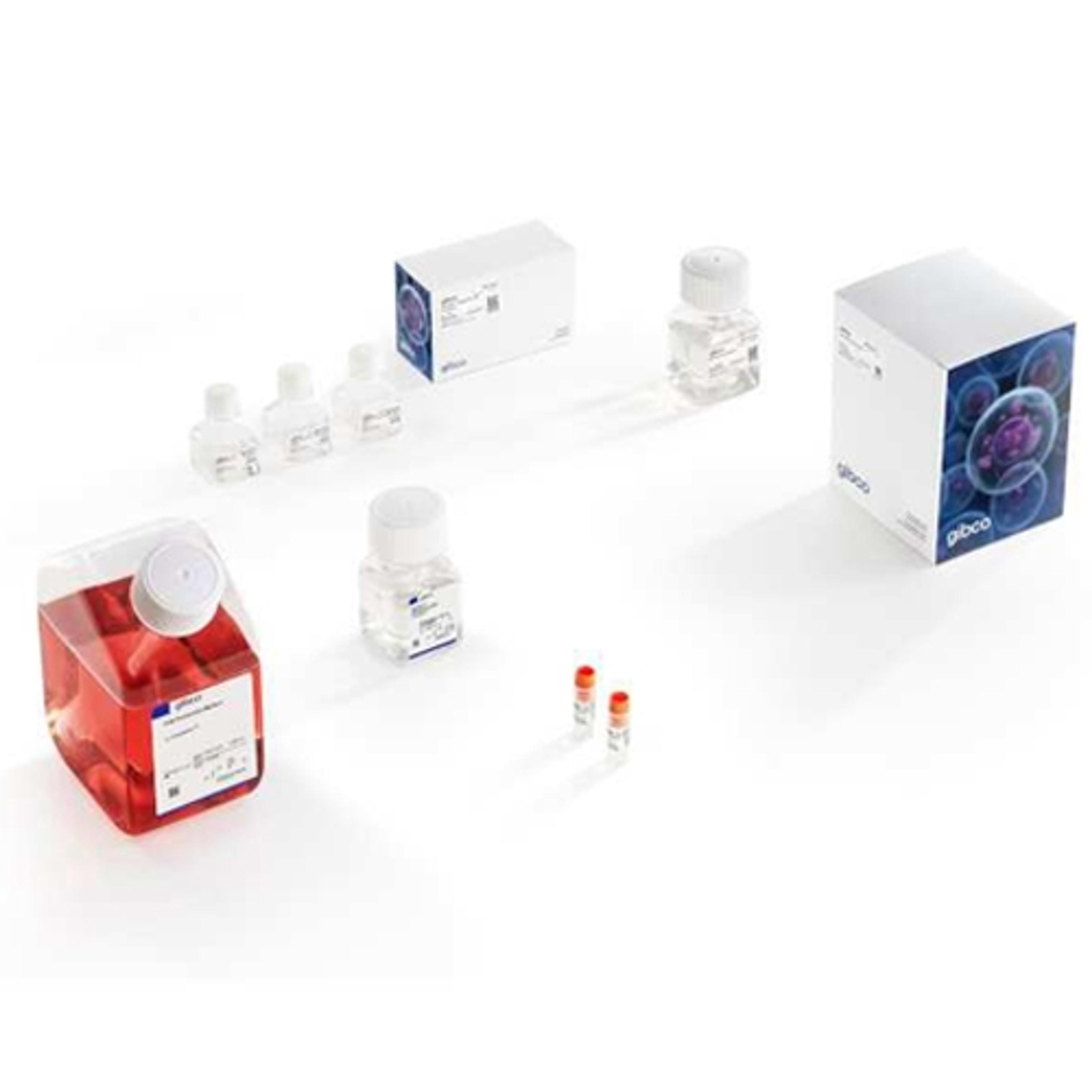 Gibco™ CTS AAV-MAX Helper Free AAV Production System - Thermo Fisher Scientific - Life Sciences