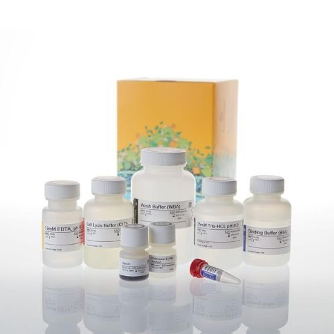 Maxwell® HT 96 gDNA Blood Isolation System (1 x 96 & 4 x 96 prep) - Promega Corp. - Life Sciences