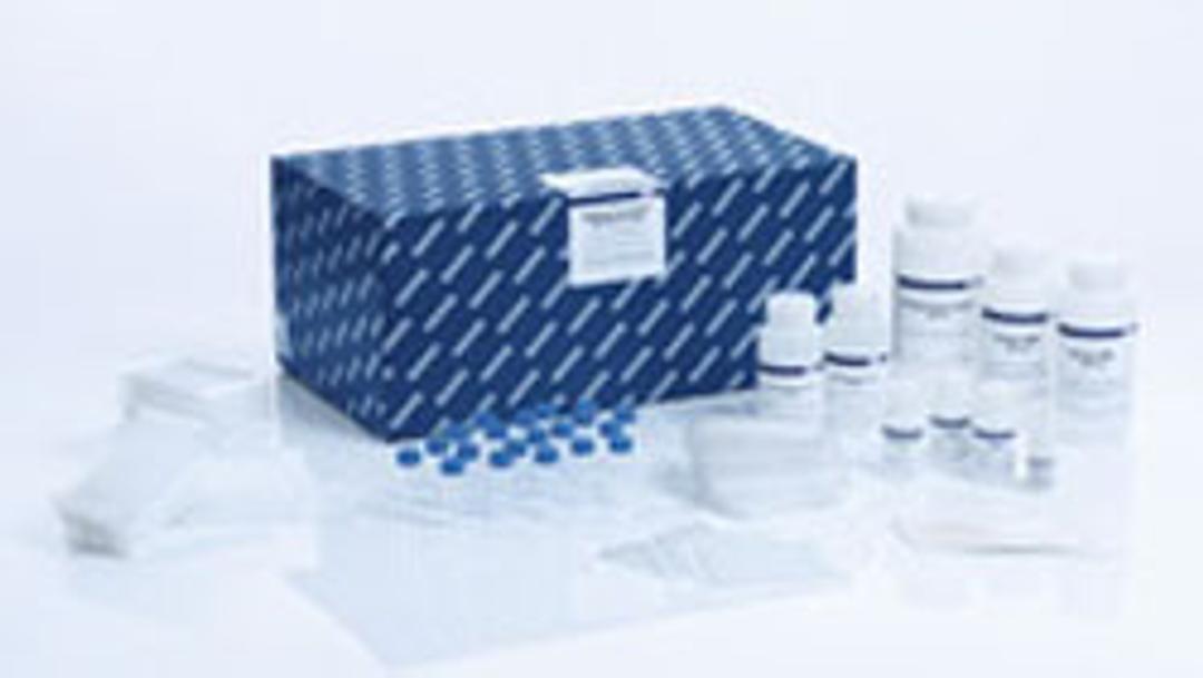 MagAttract PowerWater DNA/RNA Kit (384) - QIAGEN