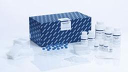 MagAttract PowerWater DNA/RNA Kit (384) - QIAGEN