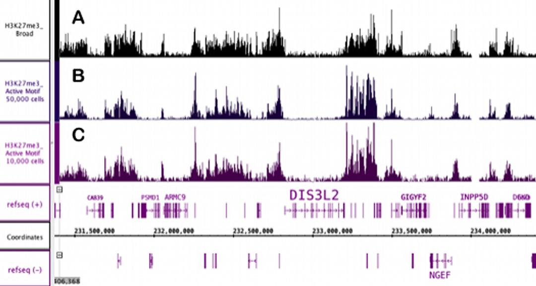 Low Cell Number ChIP-Seq Services - Active Motif - Life Sciences