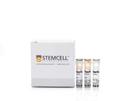 EasySep™ Human Pan-B Cell Enrichment Kit - STEMCELL Technologies Inc. - Life Sciences
