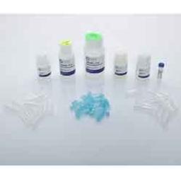 Bead Mill Tissue DNA Kit - OMNI International Inc. - Life Sciences