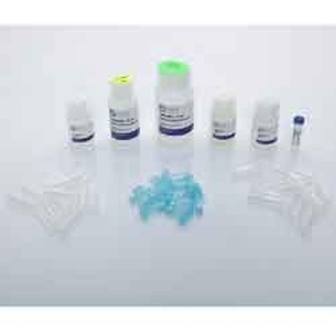 Bead Mill Tissue DNA Kit - OMNI International Inc. - Life Sciences