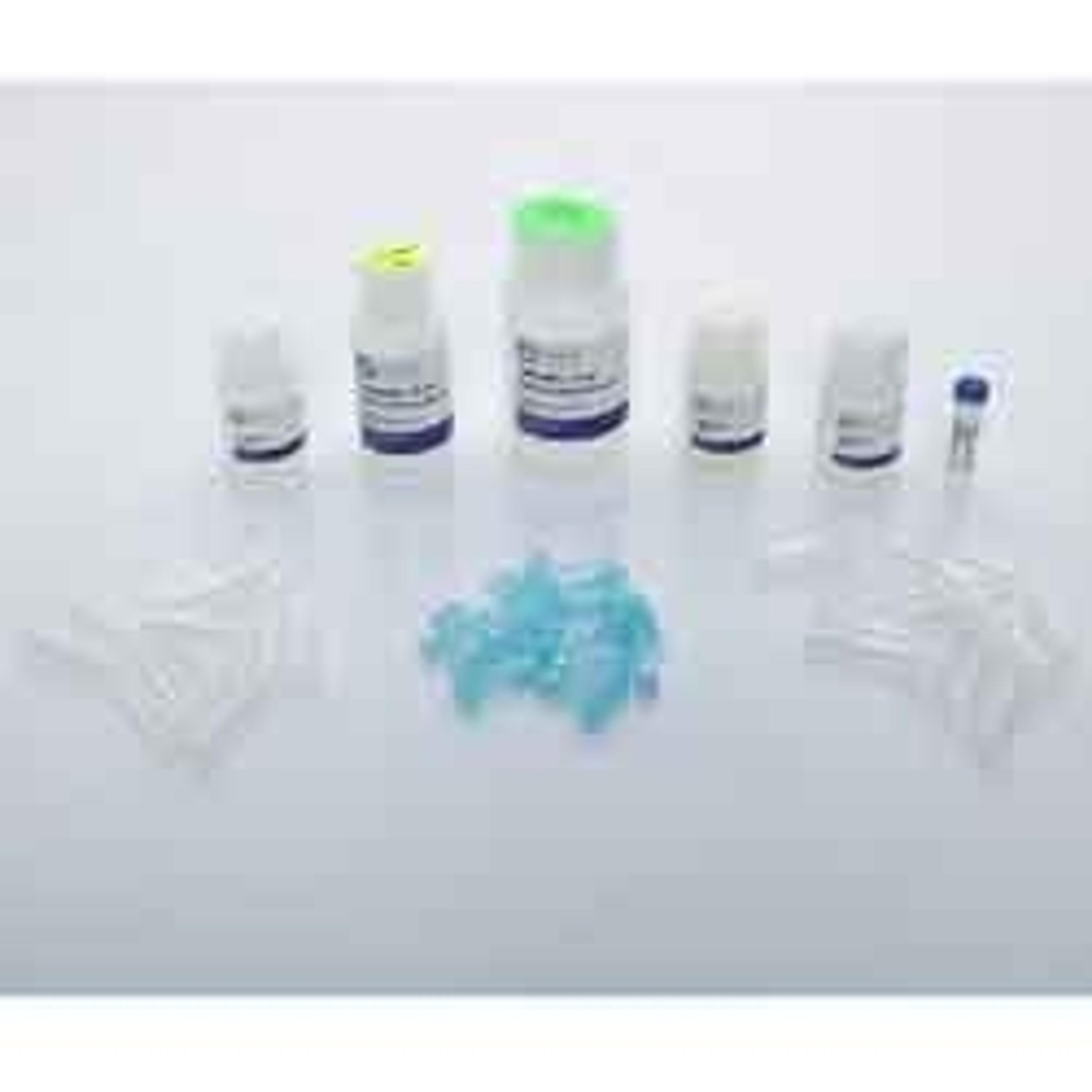 Bead Mill Tissue DNA Kit - OMNI International Inc. - Life Sciences