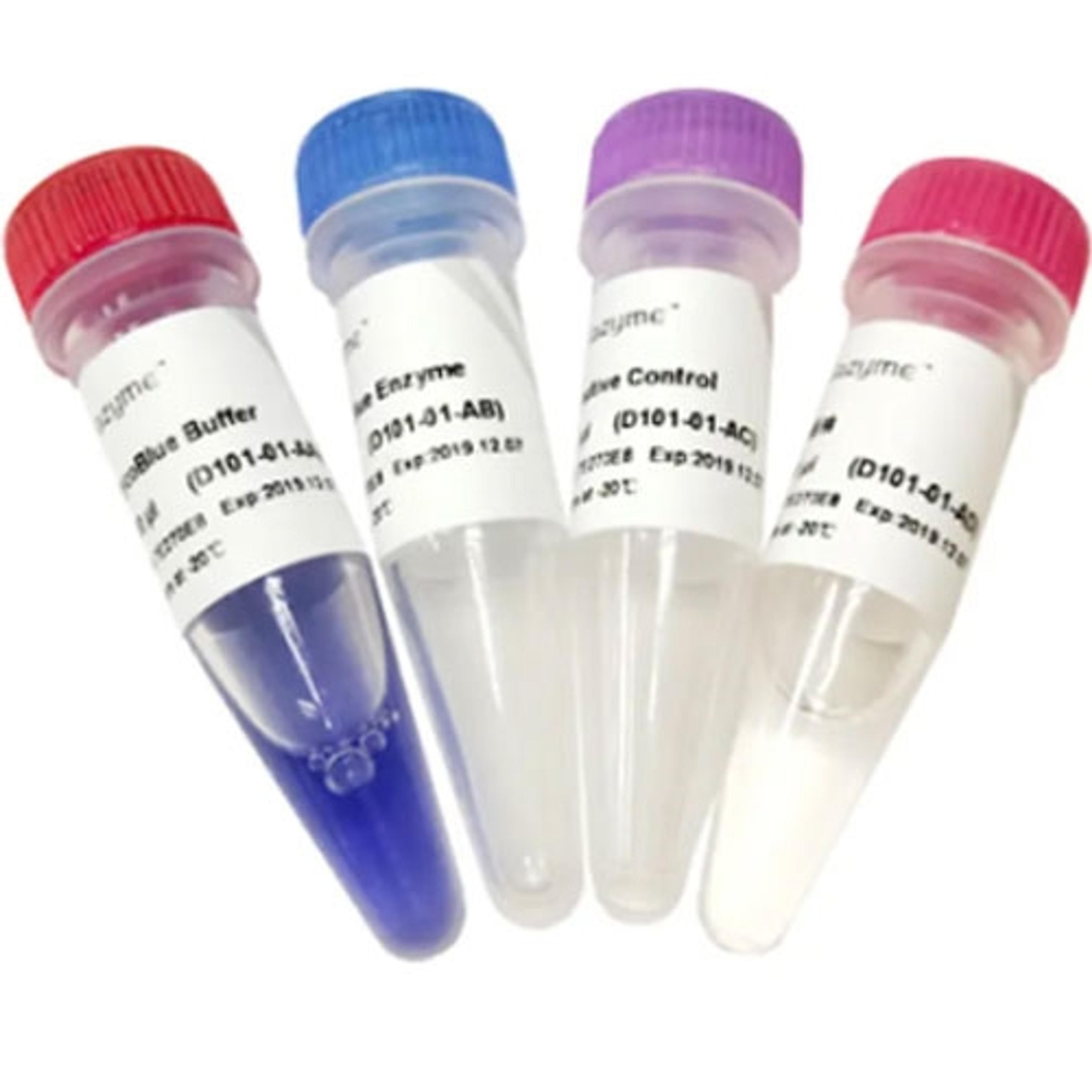 MycoBlue Mycoplasma Detector - Vazyme Biotech Co., Ltd - Life Sciences