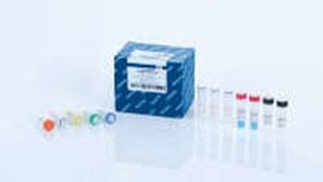 QuantiNova Pathogen +IC Kit (100) - QIAGEN