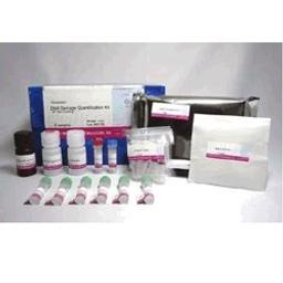 DNA Damage Quantification Kit-AP Site Counting - Dojindo EU GmbH