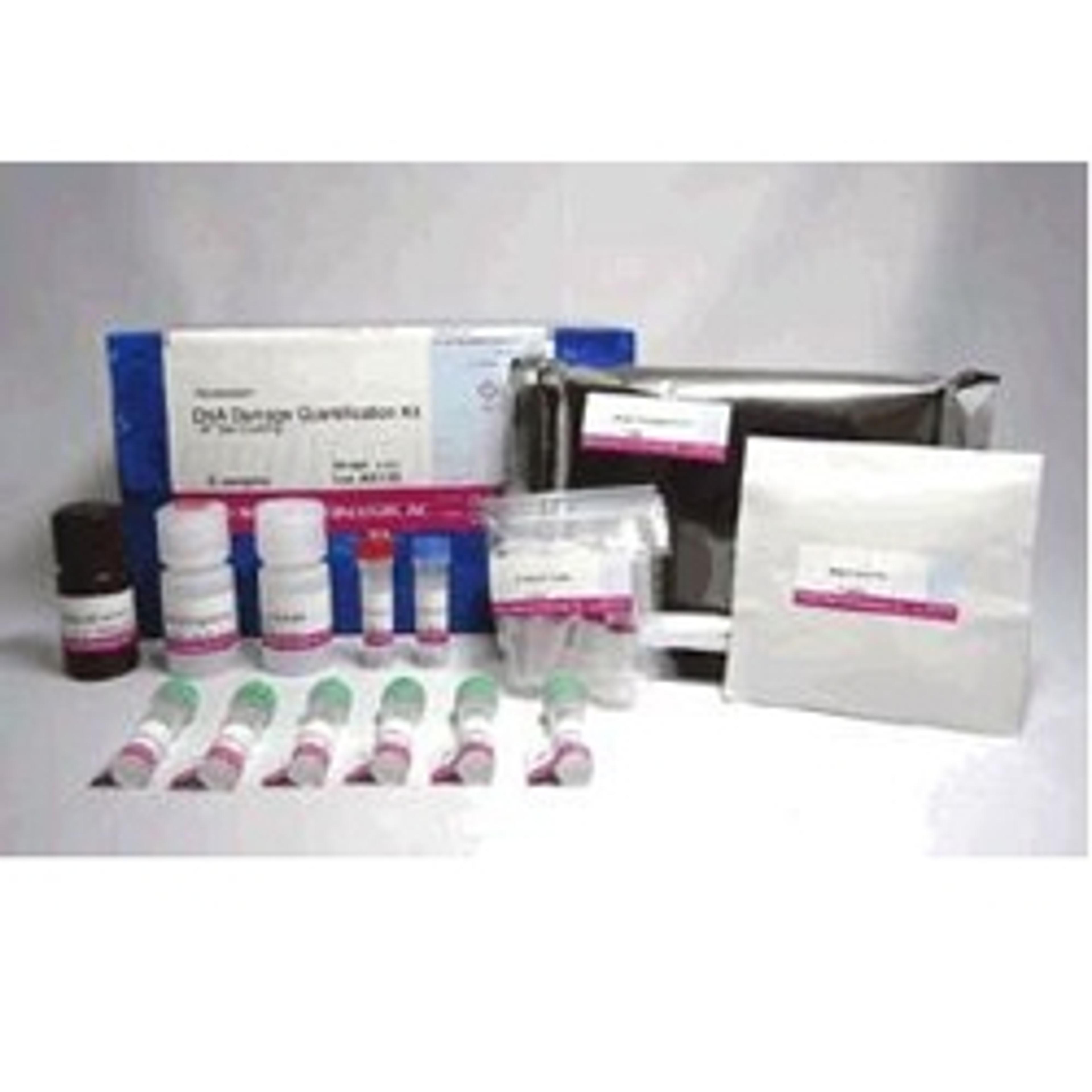 DNA Damage Quantification Kit-AP Site Counting - Dojindo EU GmbH