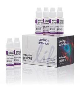 Invitrogen™ Propidium Iodide ReadyProbes™ Reagent - Thermo Fisher Scientific - Life Sciences