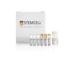 EasySep™ HLA Chimerism Whole Blood CD66b Positive Selection Kit - STEMCELL Technologies Inc. - Life Sciences