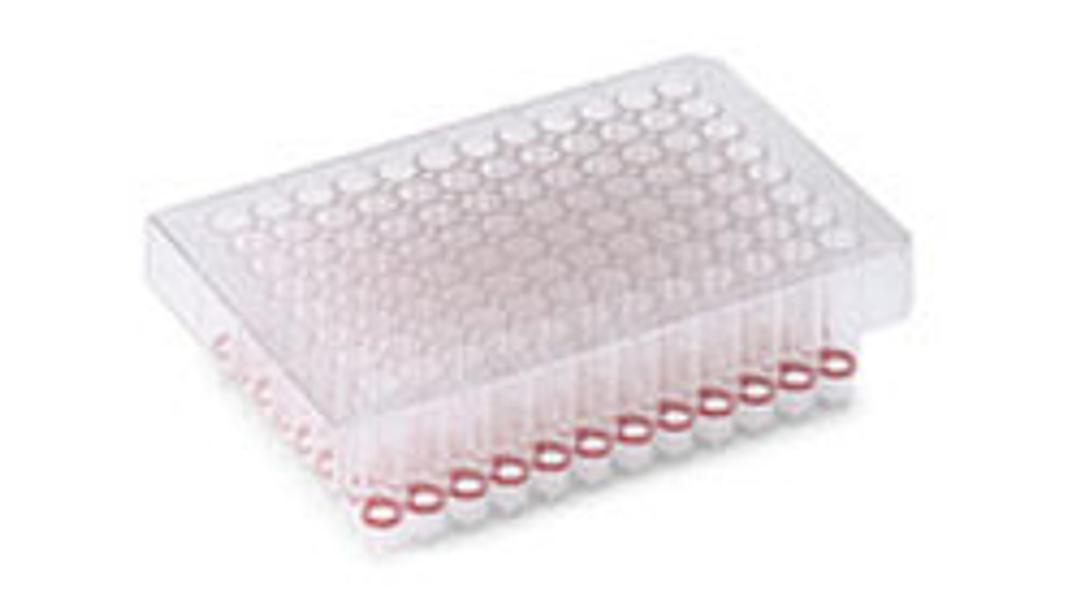 QIAamp 96 Viral RNA Kit (10) - QIAGEN