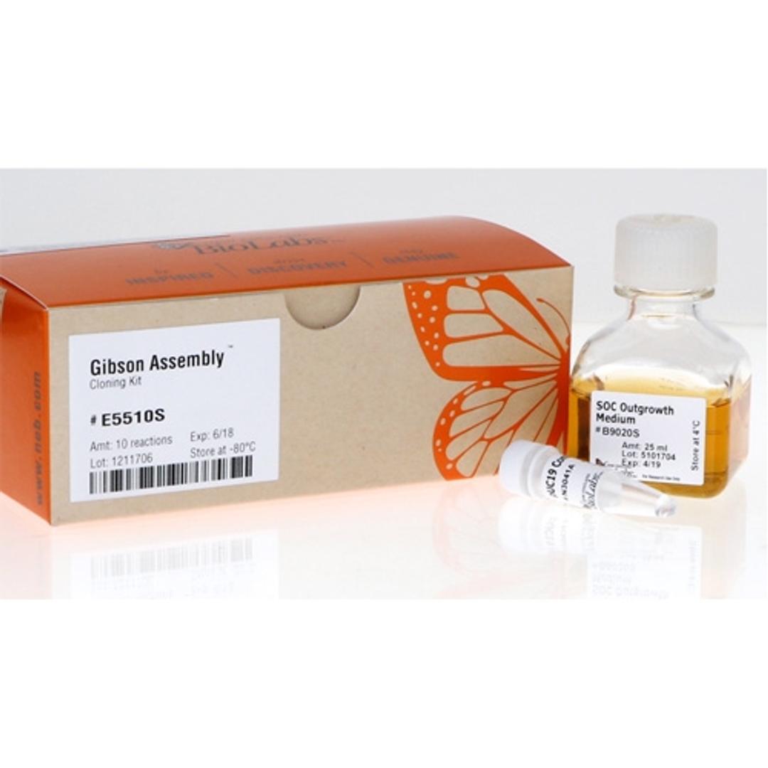 Gibson Assembly® Cloning Kit - New England Biolabs Inc. - Life Sciences
