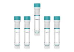 True Blue (TB) Diaceturate Salt [Fluorescent Neuronal Tracer]