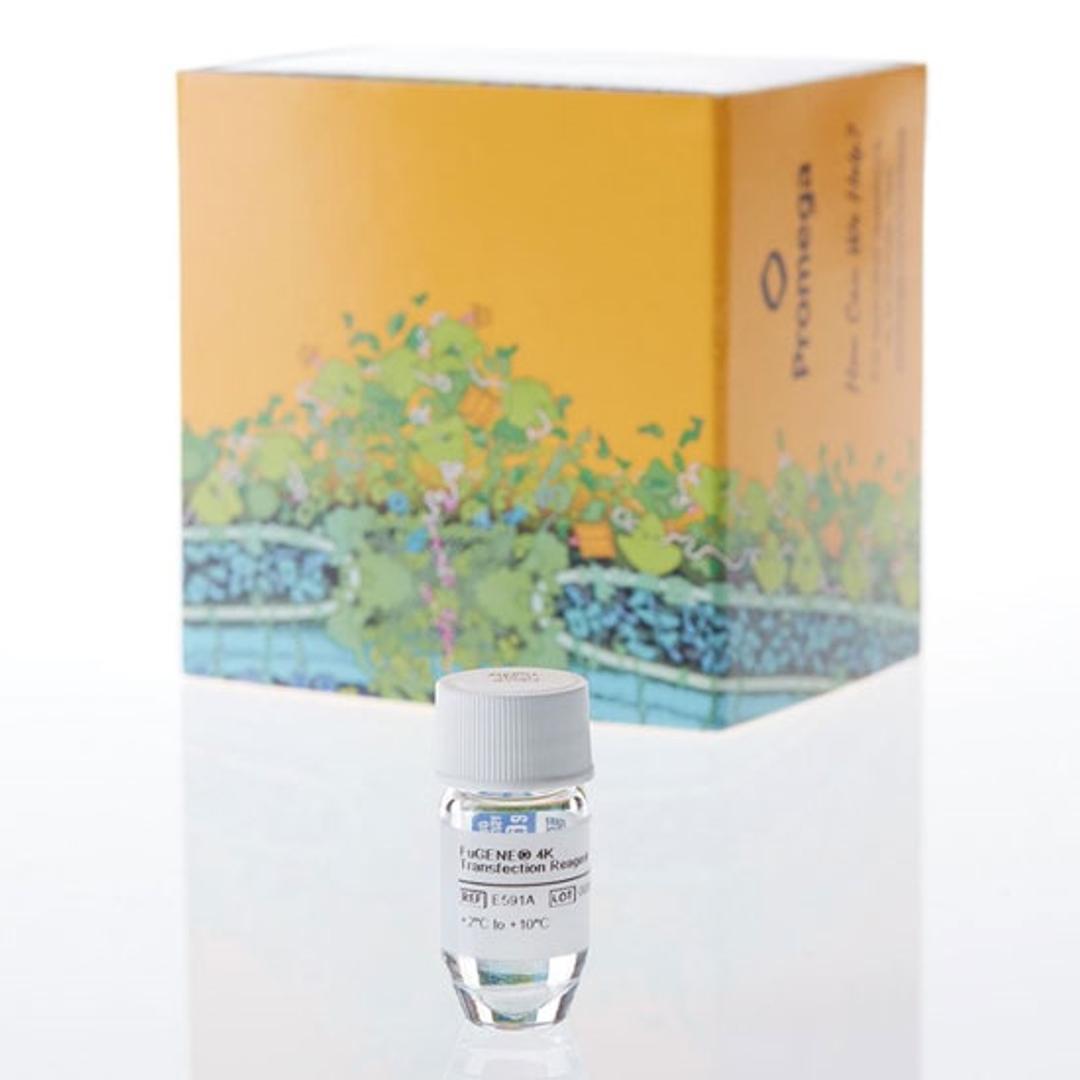 FuGENE® 4K Transfection Reagent - Promega Corp. - Life Sciences