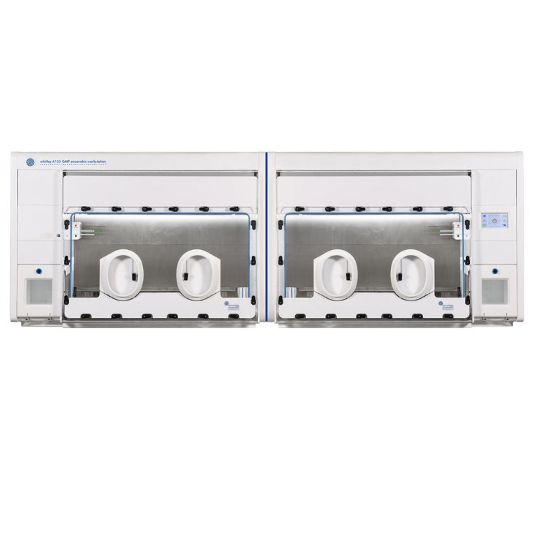 Whitley A155 GMP Workstation - Don Whitley Scientific - General Lab