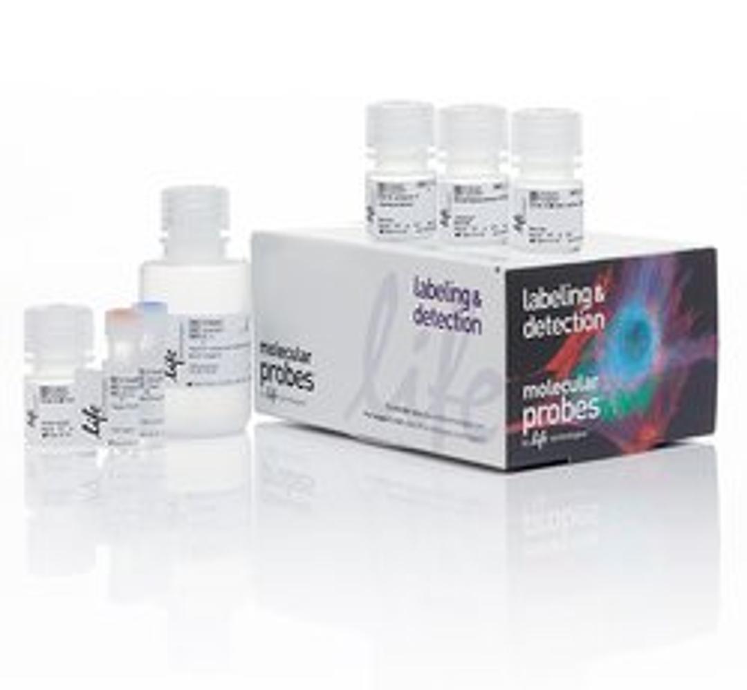 Invitrogen™ Click-iT™ Plus EdU Alexa Fluor™ 350 Flow Cytometry Assay Kit - Thermo Fisher Scientific - Life Sciences